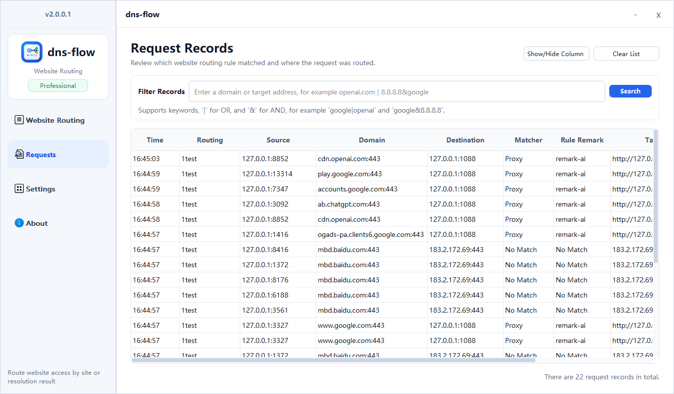 dns-flow request records screen